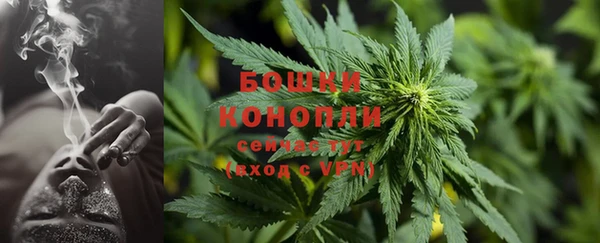 тгк Белокуриха