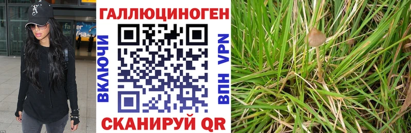 Купить  Балтийск  Галлюциногенные грибы MAGIC MUSHROOMS 