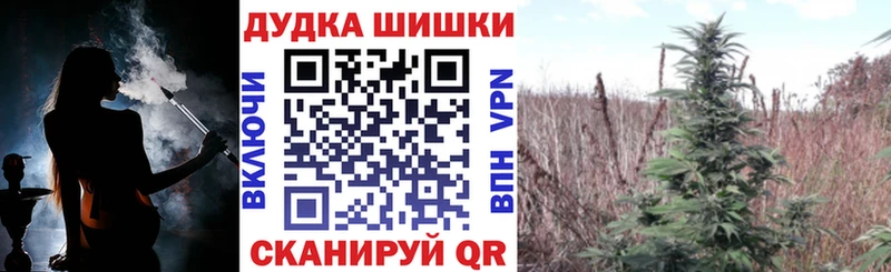 Купить где Балтийск Бошки Шишки SATIVA & INDICA